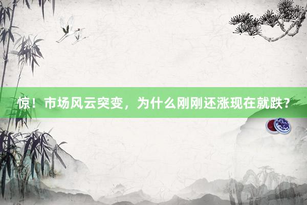 惊！市场风云突变，为什么刚刚还涨现在就跌？