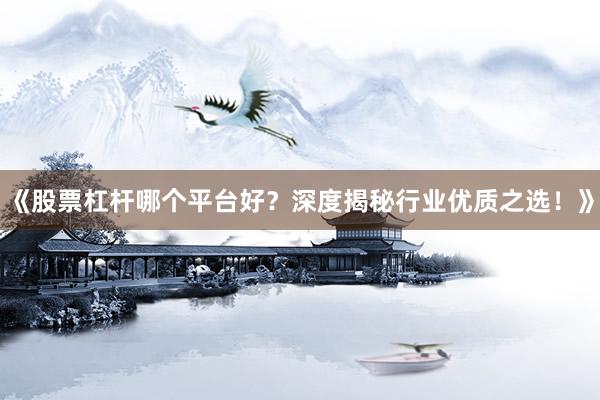 《股票杠杆哪个平台好？深度揭秘行业优质之选！》