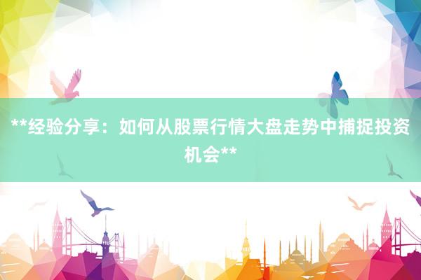 **经验分享：如何从股票行情大盘走势中捕捉投资机会**