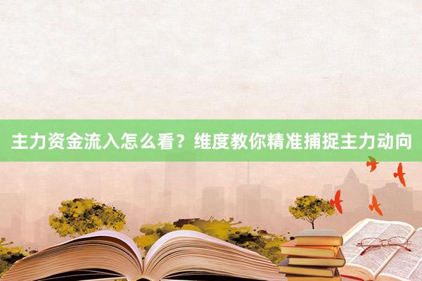 主力资金流入怎么看？维度教你精准捕捉主力动向
