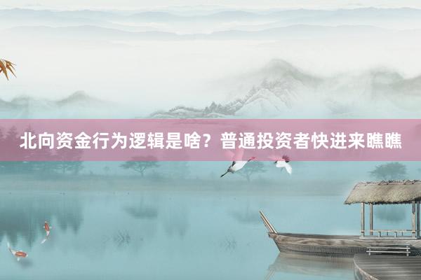 北向资金行为逻辑是啥？普通投资者快进来瞧瞧