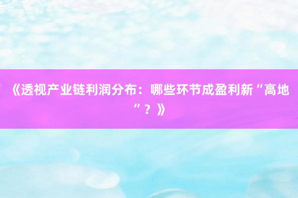 《透视产业链利润分布：哪些环节成盈利新“高地”？》