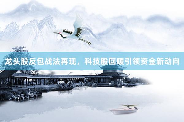 龙头股反包战法再现，科技股回暖引领资金新动向