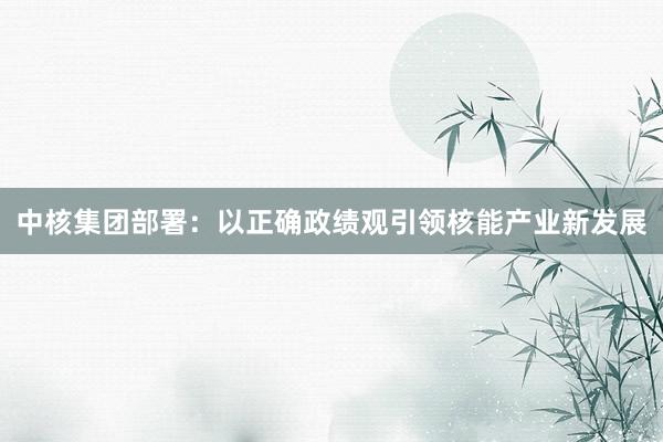 中核集团部署：以正确政绩观引领核能产业新发展