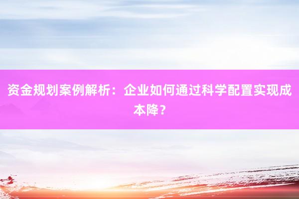 资金规划案例解析：企业如何通过科学配置实现成本降？